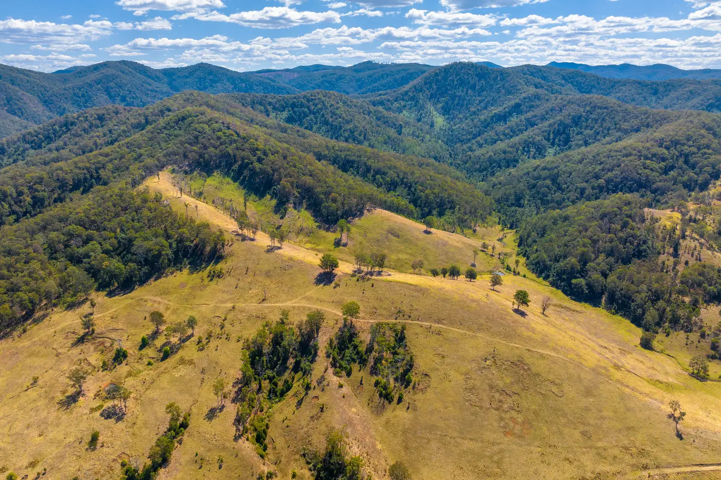 Main view of Homely rural property listing, Lot C Big Run Road, Wherrol Flat NSW 2429