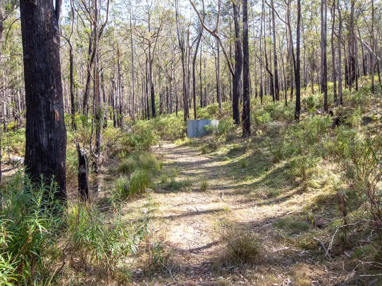 Main view of Homely land listing, 798 Yankees Gap Road, Bemboka NSW 2550