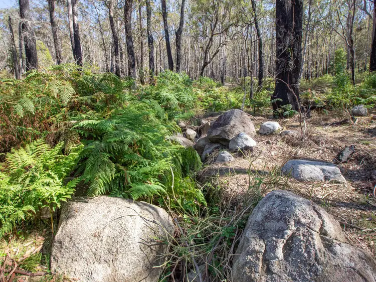 Second view of Homely land listing, 798 Yankees Gap Road, Bemboka NSW 2550