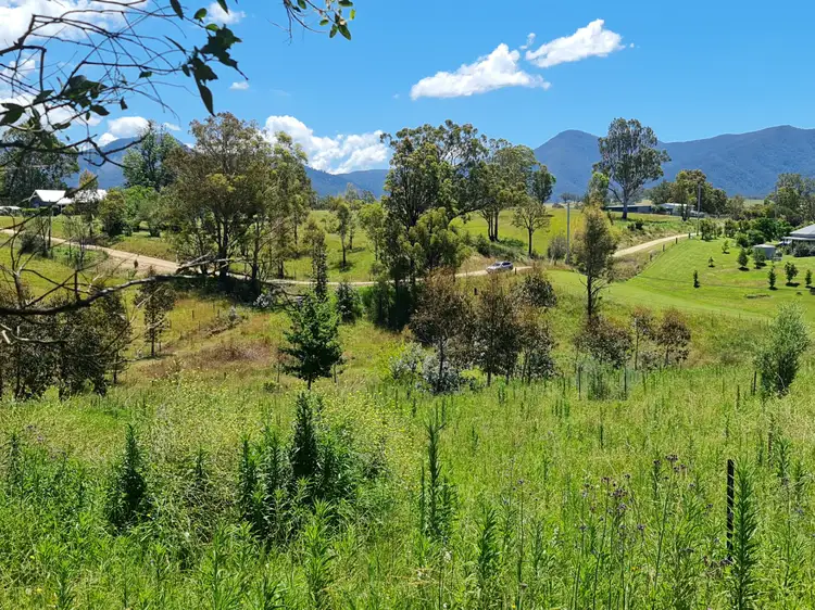 Main view of Homely land listing, 113 Geraghty Street, Bemboka NSW 2550