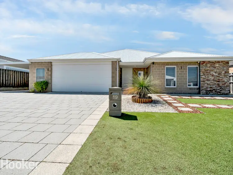 Main view of Homely house listing, 19 Badminton Cross, The Vines WA 6069
