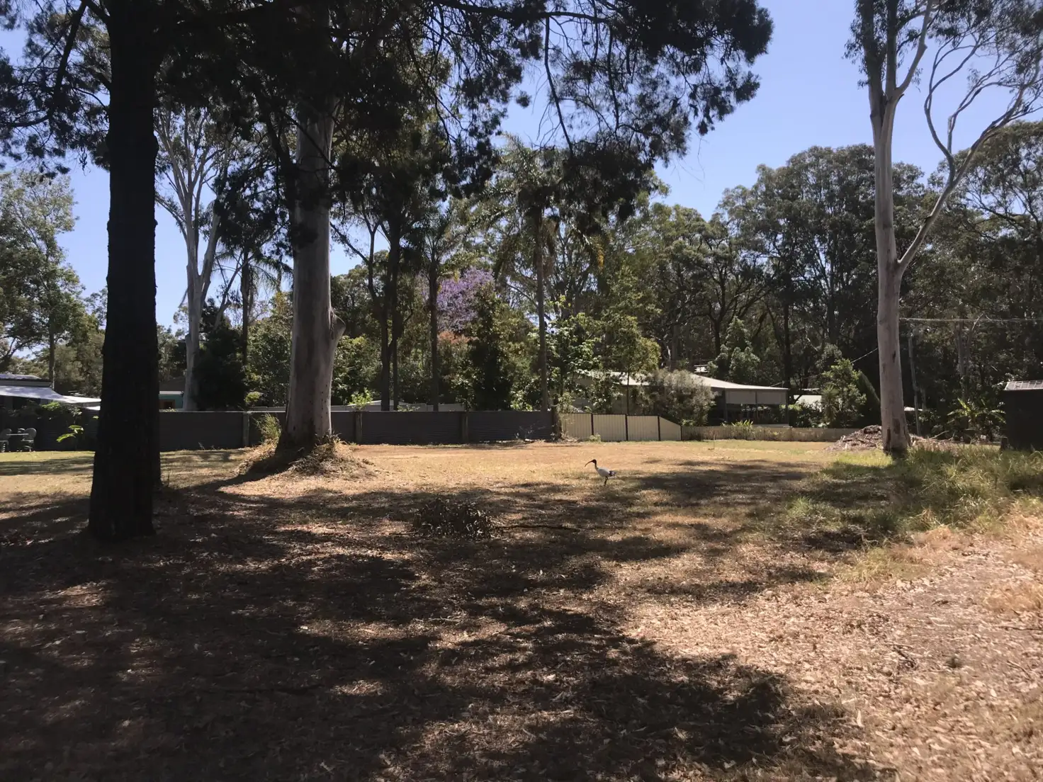 Main view of Homely land listing, 25 Cabriolet Crescent, Macleay Island QLD 4184