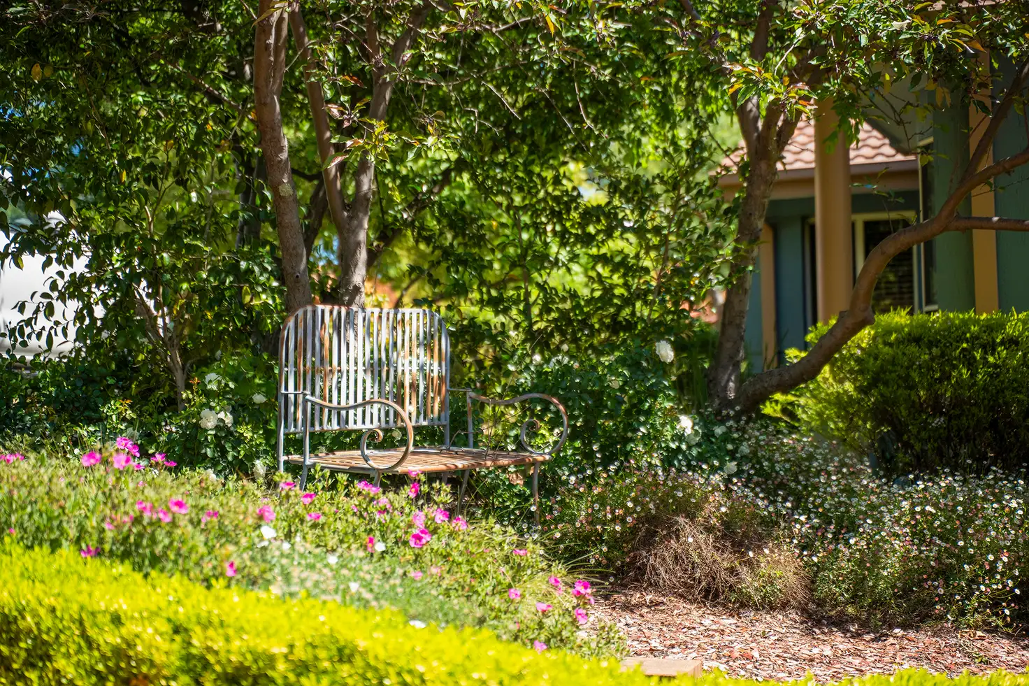 Main view of Homely house listing, 8/27 Temperley Street, Nicholls ACT 2913