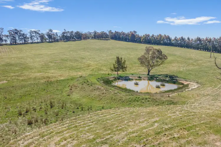 Sixth view of Homely rural property listing, Lot 6 Curly Dick Road, Meadow Flat NSW 2795