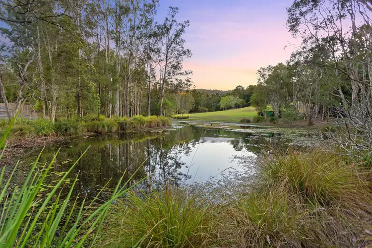 Third view of Homely rural property listing, 42 Syndicate Road, Tallebudgera Valley QLD 4228