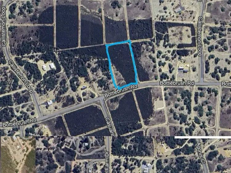 229 Bottlebrush Road, Nilgen WA 6044