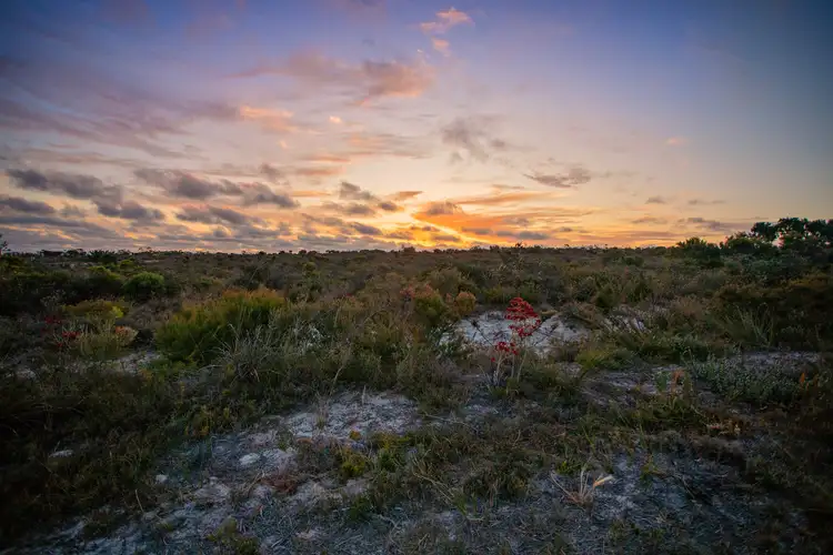 Fifth view of Homely land listing, 69 Long Pool Road, Hopetoun WA 6348