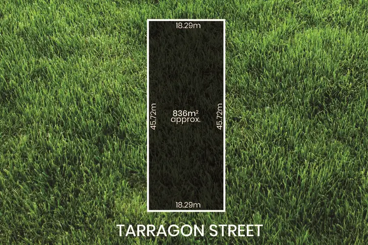 Main view of Homely land listing, 38 Tarragon Street, Mile End SA 5031