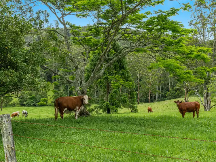 Second view of Homely rural property listing, 4358 Kyogle Road, Wadeville NSW 2474