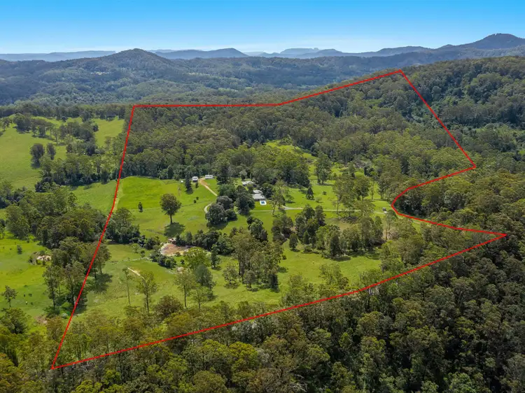 Fifth view of Homely rural property listing, 4358 Kyogle Road, Wadeville NSW 2474