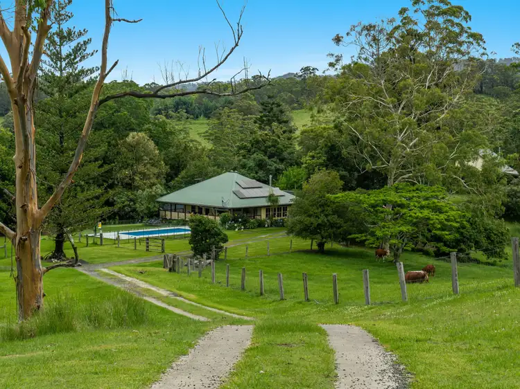 Sixth view of Homely rural property listing, 4358 Kyogle Road, Wadeville NSW 2474