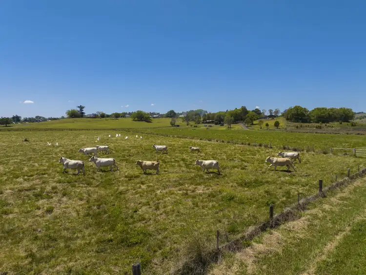 Fifth view of Homely rural property listing, 62 Lagoon Grass Road, Lagoon Grass NSW 2480