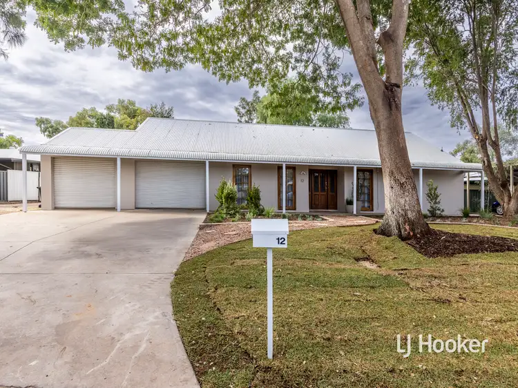 12 De Havilland Drive, Araluen NT 870