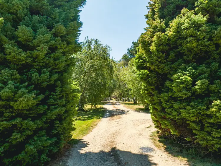 Second view of Homely house listing, 53 Argonaut Road, St Helens TAS 7216