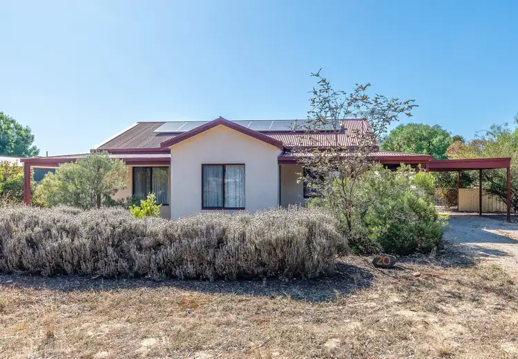 Main view of Homely house listing, 20 West Terrace, Callington SA 5254
