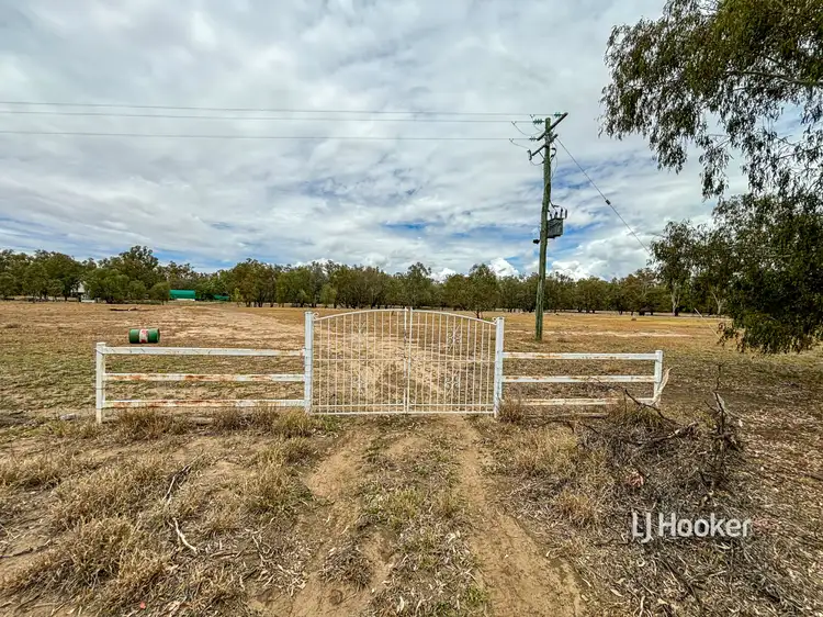 Third view of Homely rural property listing, Lot 4 Carnarvon Highway, Surat QLD 4417