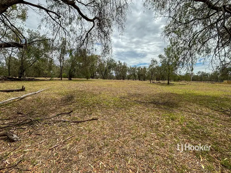 Fourth view of Homely rural property listing, Lot 4 Carnarvon Highway, Surat QLD 4417