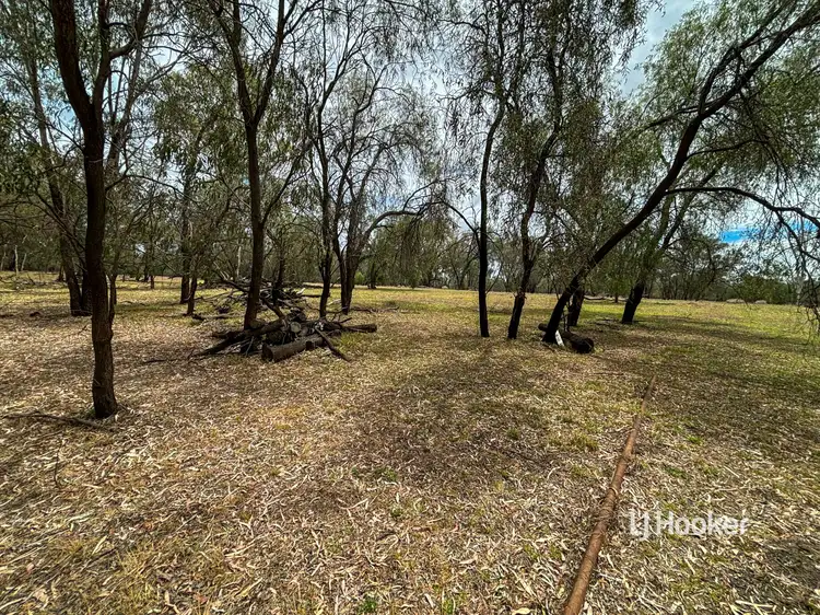Fifth view of Homely rural property listing, Lot 4 Carnarvon Highway, Surat QLD 4417