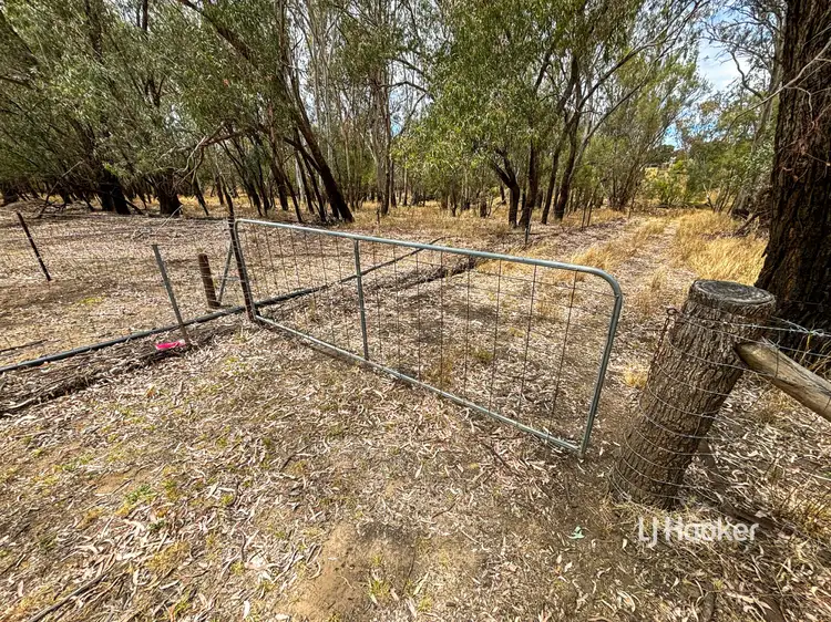 Seventh view of Homely rural property listing, Lot 4 Carnarvon Highway, Surat QLD 4417