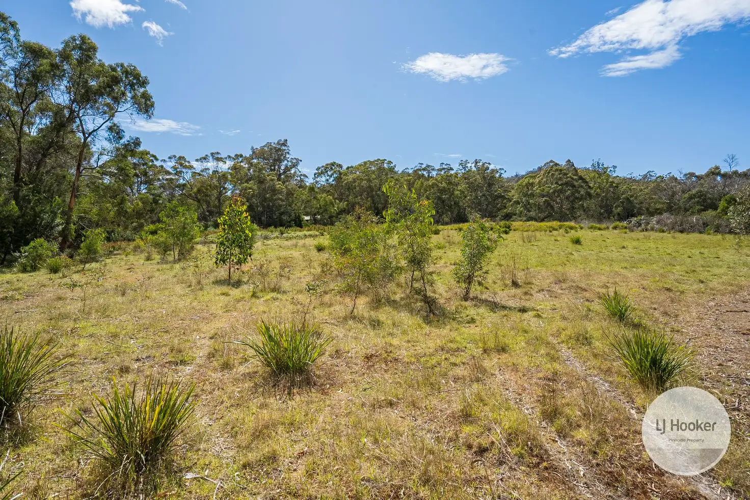 Main view of Homely land listing, 482 Tinderbox Road, Tinderbox TAS 7054