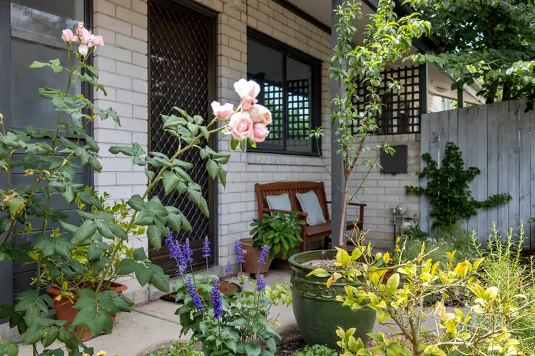 Sixth view of Homely townhouse listing, 43 Goodenia Street, Rivett ACT 2611