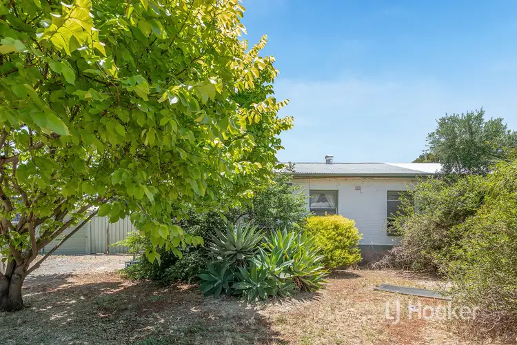 Second view of Homely house listing, 3 Wilkins Road, Elizabeth Downs SA 5113