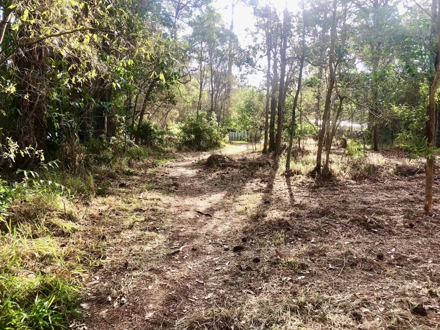 Main view of Homely land listing, 39 Kevin Street, Macleay Island QLD 4184