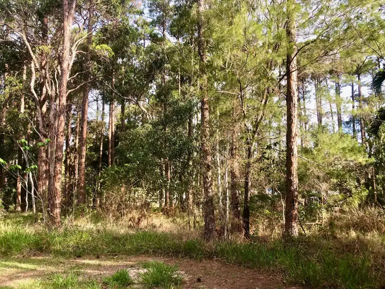 Third view of Homely land listing, 39 Kevin Street, Macleay Island QLD 4184