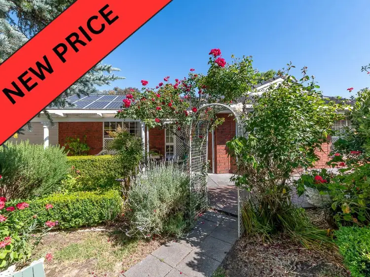 Main view of Homely house listing, 11 Hereford Avenue, Hahndorf SA 5245