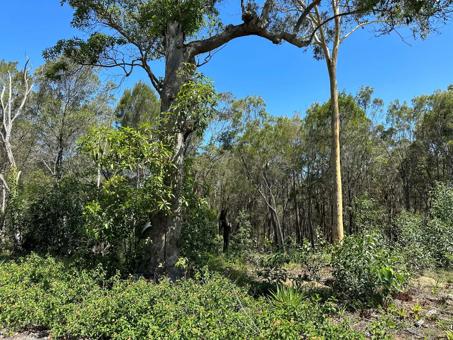 Main view of Homely land listing, 22 Topaz Street, Russell Island QLD 4184