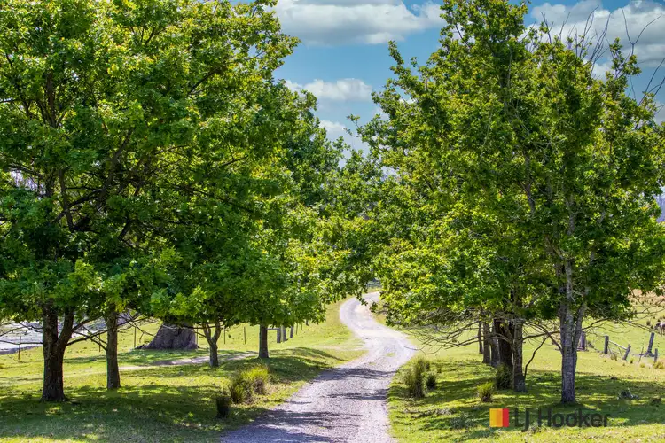 Third view of Homely rural property listing, 1109 Princes Highway, Mogo NSW 2536