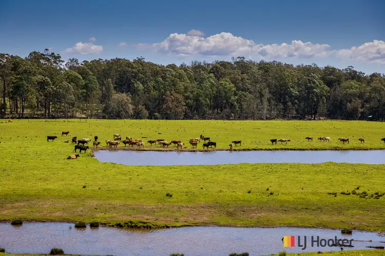 Fourth view of Homely rural property listing, 1109 Princes Highway, Mogo NSW 2536