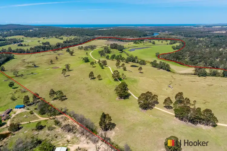 Fifth view of Homely rural property listing, 1109 Princes Highway, Mogo NSW 2536