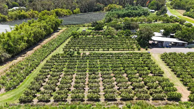 Main view of Homely house listing, 308 Pine Creek Way, Bonville NSW 2450