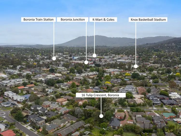 Second view of Homely house listing, 16 Tulip Crescent, Boronia VIC 3155