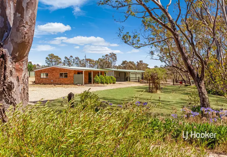 Main view of Homely house listing, 915 Seymour-Pyalong Road, Sugarloaf Creek VIC 3658