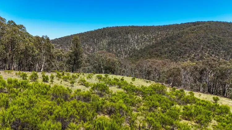 Fourth view of Homely rural property listing, 94 Oakey Forest Road, Marrangaroo NSW 2790