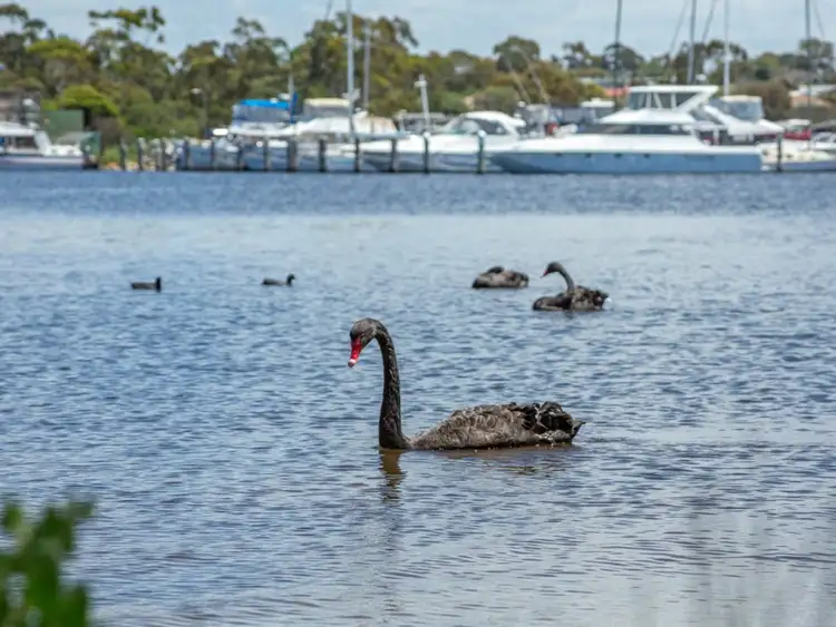 Sixth view of Homely land listing, 119 Western Boulevard, Raymond Island VIC 3880