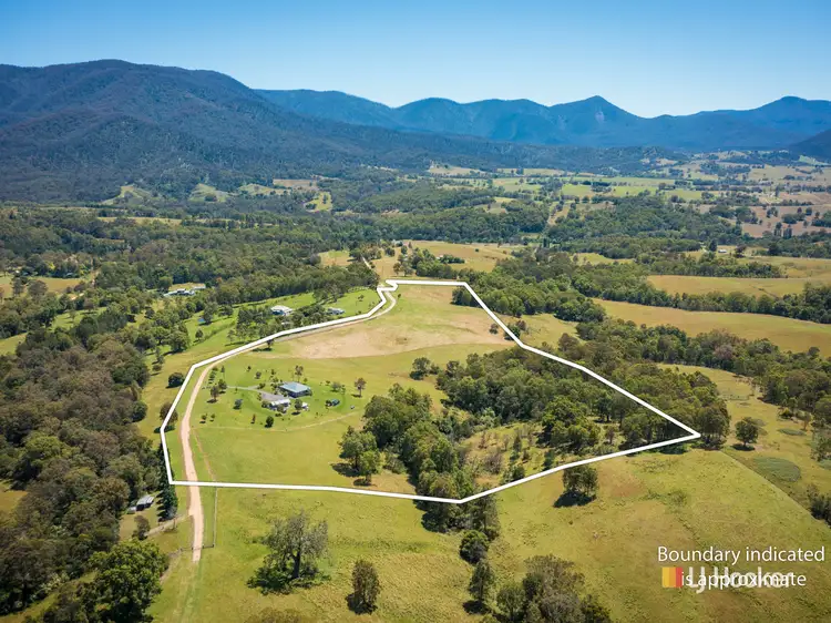 Second view of Homely rural property listing, 49 Buckleys Ridge Road, Bemboka NSW 2550