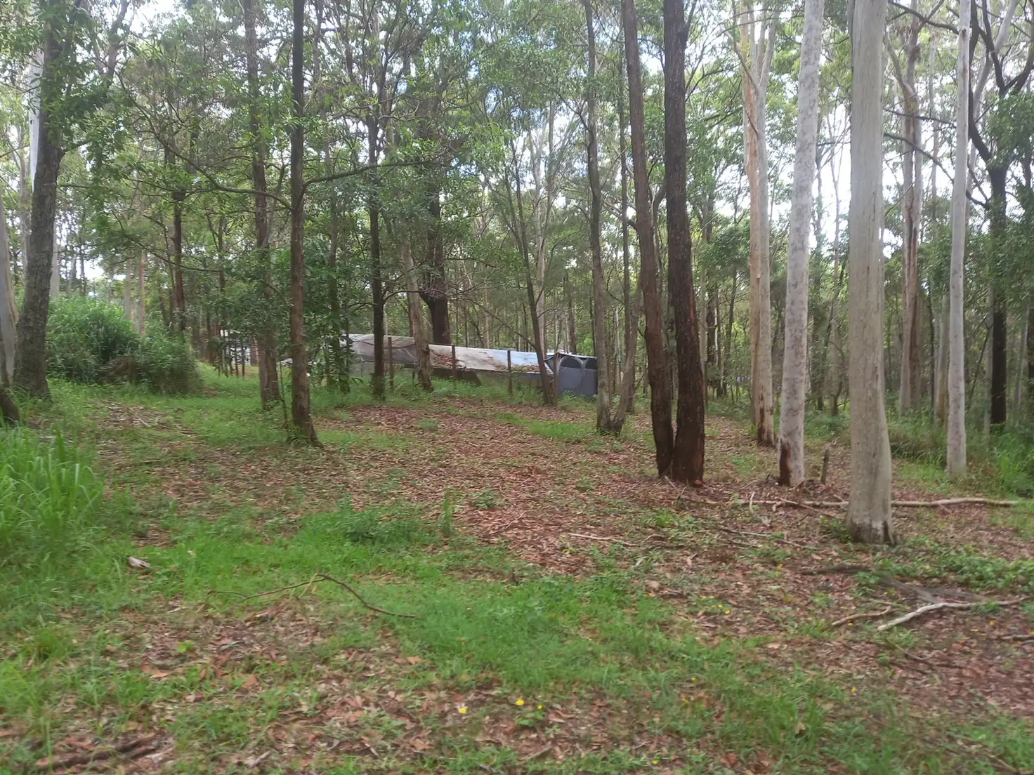 Main view of Homely land listing, 16 DARLING  STREET, Russell Island QLD 4184