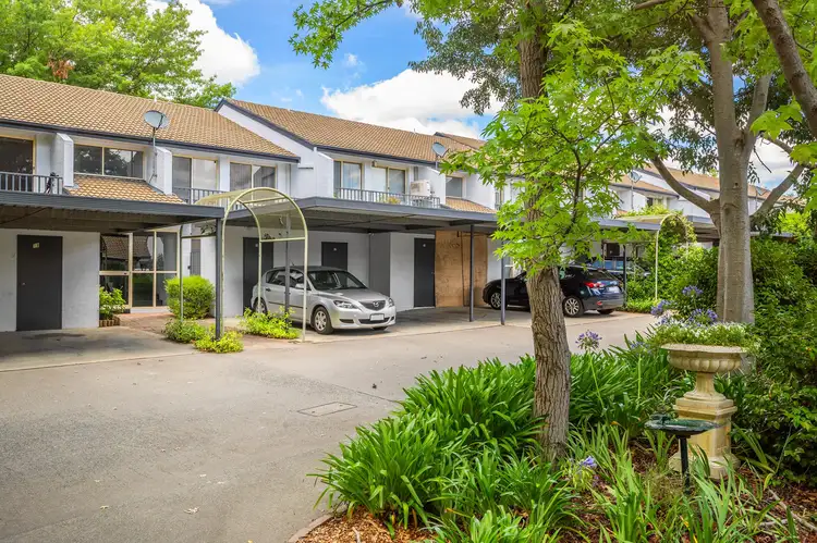 19/6 Antis Street, Phillip ACT 2606