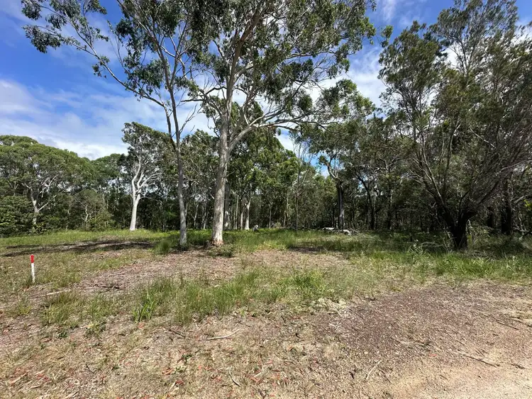 Third view of Homely land listing, 9 Cestrum Street, Russell Island QLD 4184