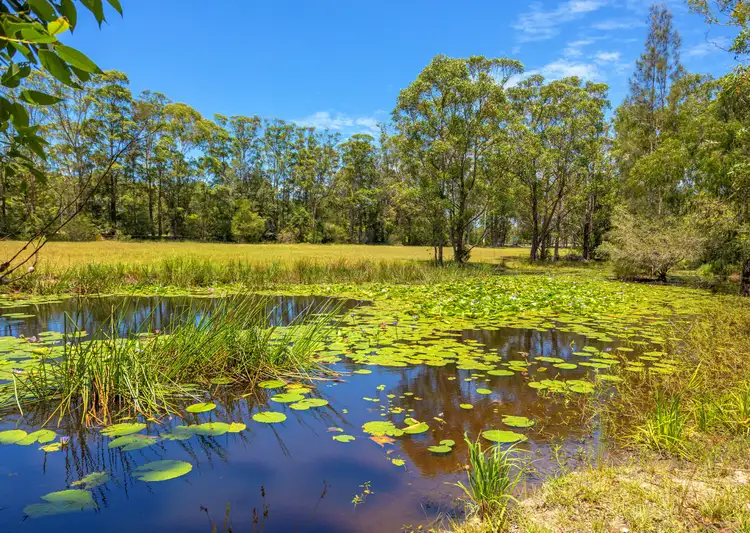 Second view of Homely rural property listing, 49 Manning Point Road, Old Bar NSW 2430