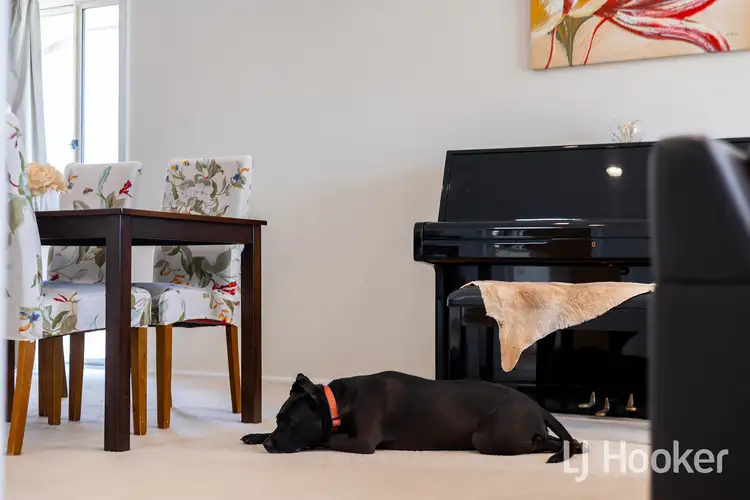 Fourth view of Homely house listing, 1/51 Belconnen Way, Weetangera ACT 2614