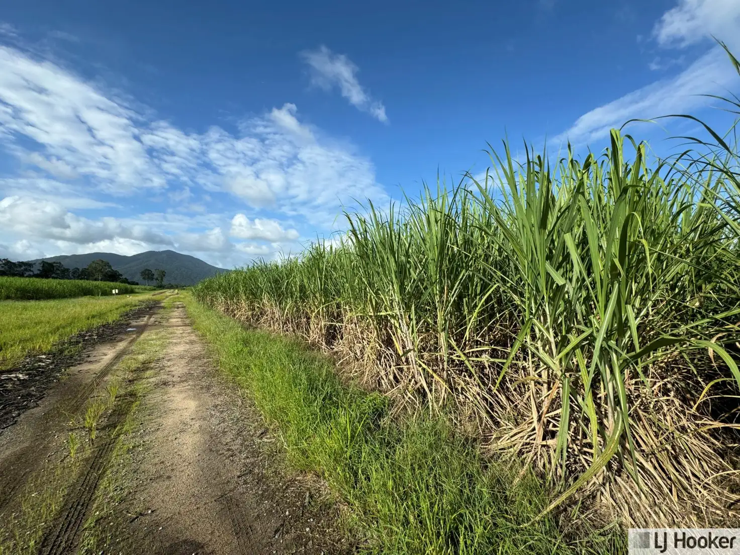 Main view of Homely land listing, 328 Rockingham Road, Rockingham QLD 4854