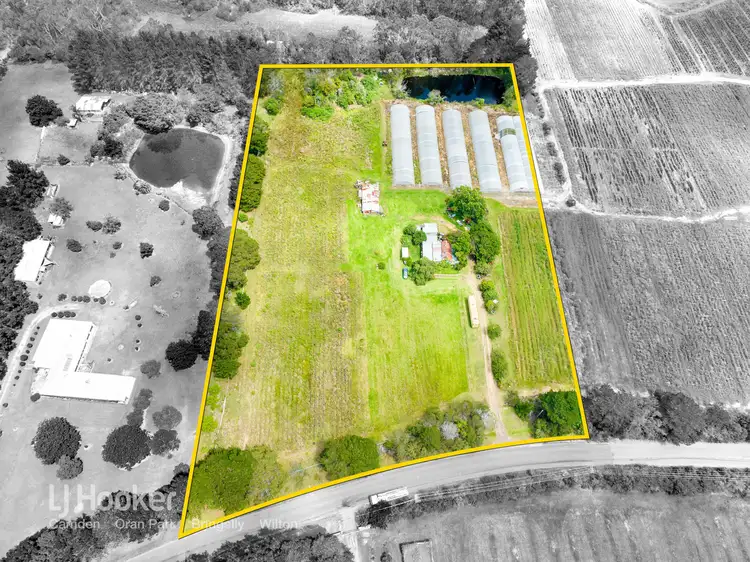 Main view of Homely house listing, 142 Minerva Road, Wedderburn NSW 2560