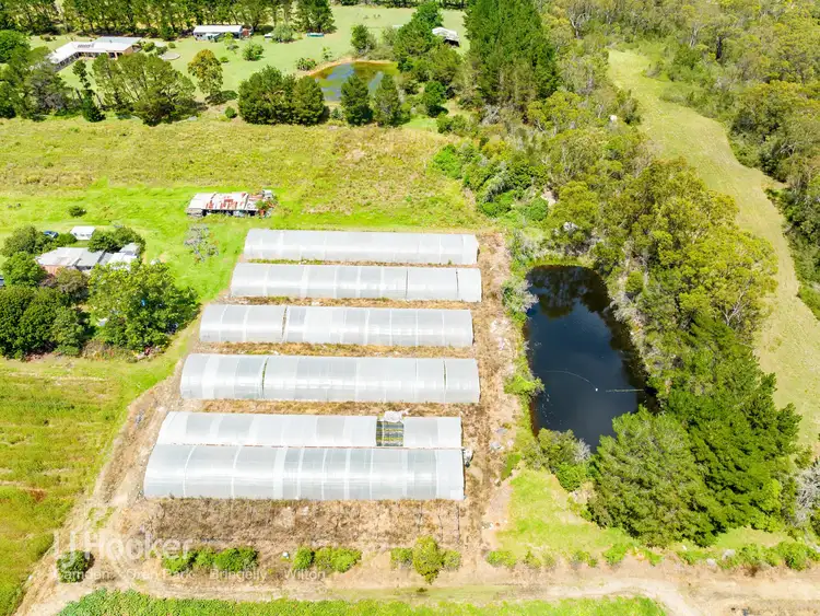 Fifth view of Homely house listing, 142 Minerva Road, Wedderburn NSW 2560