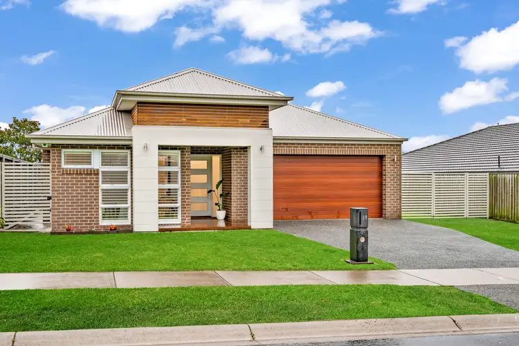 Main view of Homely house listing, 19 Mistfly Street, Chisholm NSW 2322