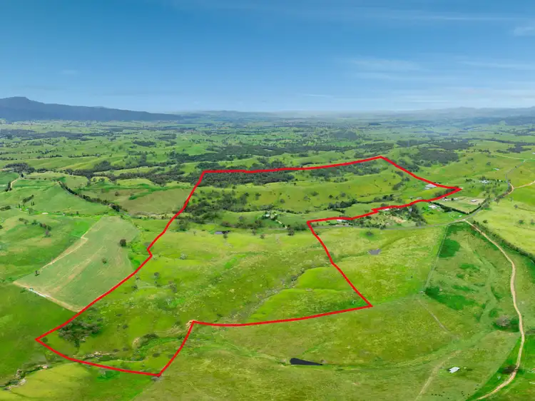 Second view of Homely rural property listing, 423 Sams Corner Road, Bemboka NSW 2550