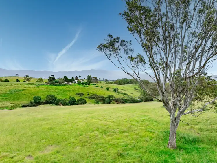 Third view of Homely rural property listing, 423 Sams Corner Road, Bemboka NSW 2550